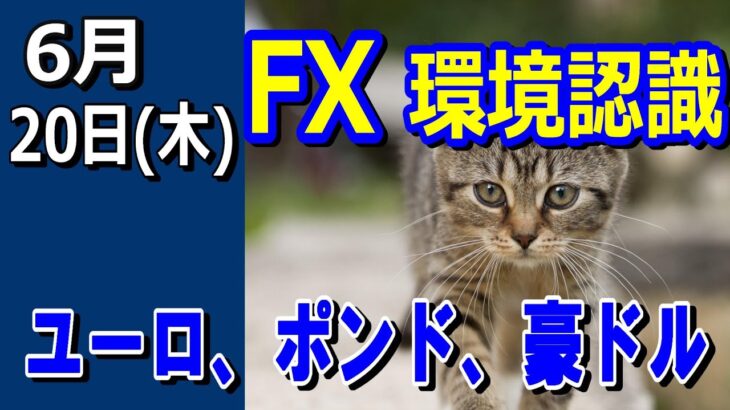 【TAKA FX】ドル、円、ユーロ、ポンド、豪ドルの環境認識解説。6月20日(木)