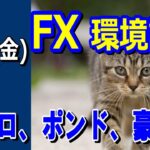 【TAKA FX】ドル、円、ユーロ、ポンド、豪ドルの環境認識解説。6月21日(金)