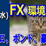 【TAKA FX】ドル、円、ユーロ、ポンド、豪ドルの環境認識解説。6月26日(水)