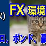 【TAKA FX】ドル、円、ユーロ、ポンド、豪ドルの環境認識解説。6月4日(火)