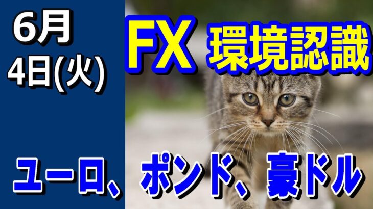 【TAKA FX】ドル、円、ユーロ、ポンド、豪ドルの環境認識解説。6月4日(火)