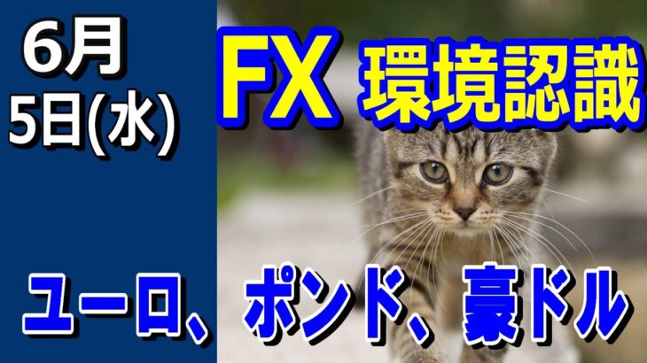 【TAKA FX】ドル、円、ユーロ、ポンド、豪ドルの環境認識解説。6月5日(水)