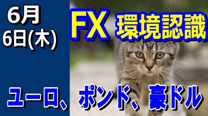 【TAKA FX】ドル、円、ユーロ、ポンド、豪ドルの環境認識解説。6月6日(木)