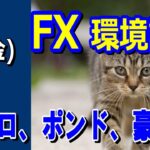 【TAKA FX】ドル、円、ユーロ、ポンド、豪ドルの環境認識解説。6月7日(金)
