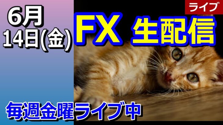 【TAKA FX】円の買い戻しは来週のトレンドに繋がる！？　FX生配信　6月14日（金）夜22時ごろ～