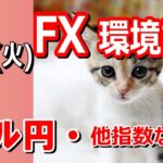 【TAKA FX】ドル円他各通貨の環境認識解説。各種指数、GOLDなど　6月11日(火)