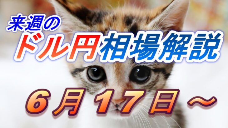 【TAKA FX】ドル円他各通貨の環境認識解説。各種指数、GOLDなど　6月17日(月)～