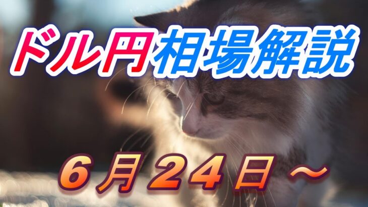 【TAKA FX】ドル円他各通貨の環境認識解説。各種指数、GOLDなど　6月24日(月)～