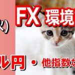 【TAKA FX】ドル円他各通貨の環境認識解説。各種指数、GOLDなど　6月4日(火)