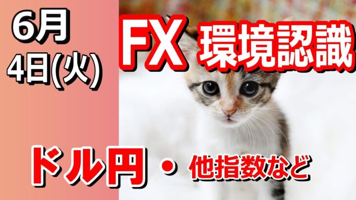 【TAKA FX】ドル円他各通貨の環境認識解説。各種指数、GOLDなど　6月4日(火)