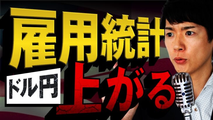 【162円】ドル円上昇待ったなし！米雇用統計で相場が下がったら買うだけでOK