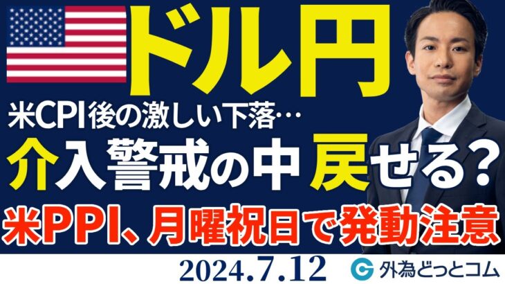 ドル円、米CPI後の急落…介入警戒の中、160円台に戻せる？米PPI、月曜祝日での介入発動に注意（今日から来週のFX予想）2024/7/12