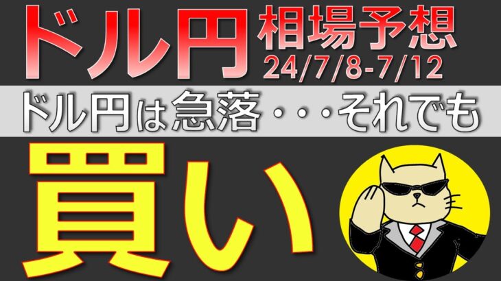 【ドル円最新予想】ドル円は急落！それでも買い！理由を簡単解説！来週の為替相場予想と投資戦略！CPI・PPI・ミシガン・議会証言・勤労統計調査・経常収支・国債買付減額に注目(24/7/8週)【FX】※