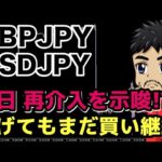 介入再び!?円安の後ろ盾で下がっても買い目線の継続【FXポンド円/ドル円環境認識】