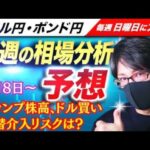 【FX来週の相場分析と予想】米大統領選 トランプ株高・ドル買い、米指標悪化で利下げ期待！為替介入リスクは？ドル円・ポンド円、来週の反発ポイントを見極めろ！（7月8日～7月12日）