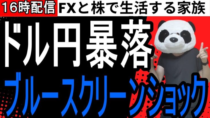 【FXライブ】ブルースクリーンでドル円暴落！ドル円スワップ生活2日目…今年の収支FX+570万7000円、株+127万円