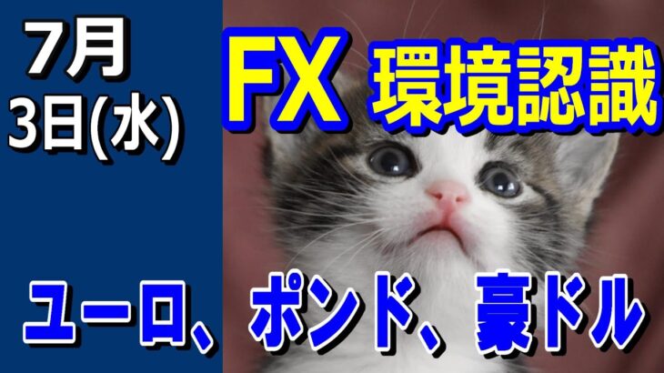 【TAKA FX】ドル、円、ユーロ、ポンド、豪ドルの環境認識解説。7月3日(水)