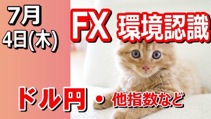 【TAKA FX】ドル、円、ユーロ、ポンド、豪ドルの環境認識解説。7月4日(木)