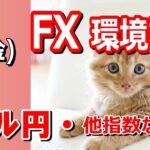 【TAKA FX】ドル、円、ユーロ、ポンド、豪ドルの環境認識解説。7月5日(金)