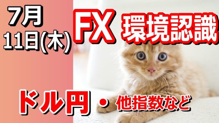 【TAKA FX】ドル円他各通貨の環境認識解説。各種指数、GOLDなど　7月11日(木)