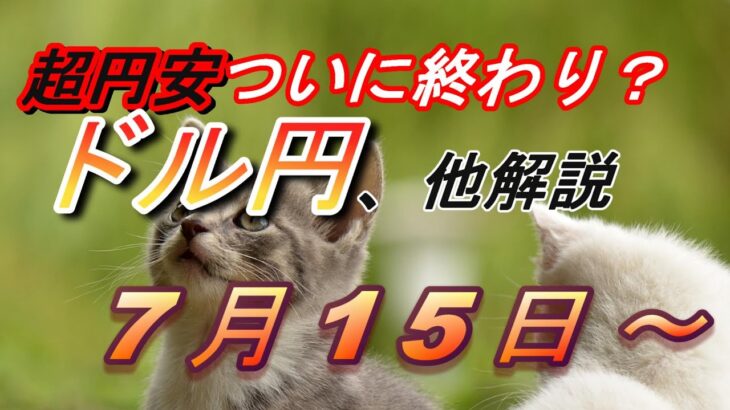 【TAKA FX】ドル円他各通貨の環境認識解説。各種指数、GOLDなど　7月15日(月)～