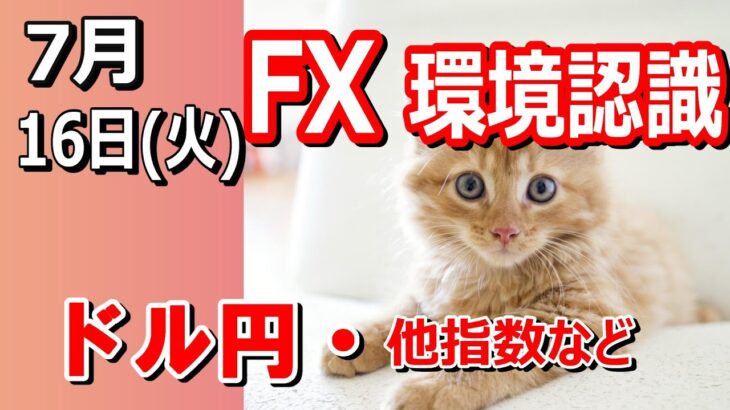 【TAKA FX】ドル円他各通貨の環境認識解説。各種指数、GOLDなど　7月16日(火)