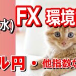 【TAKA FX】ドル円他各通貨の環境認識解説。各種指数、GOLDなど　7月17日(水)