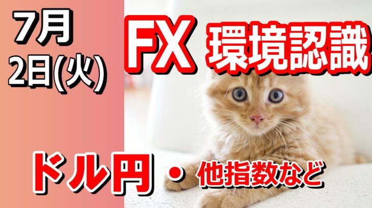 【TAKA FX】ドル円他各通貨の環境認識解説。各種指数、GOLDなど　7月2日(火)