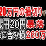 ドル円20円下げて1920万円ロスカット後の今の状況