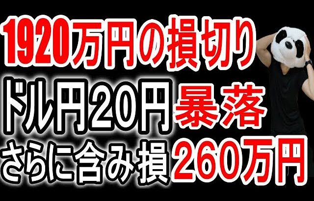 ドル円20円下げて1920万円ロスカット後の今の状況