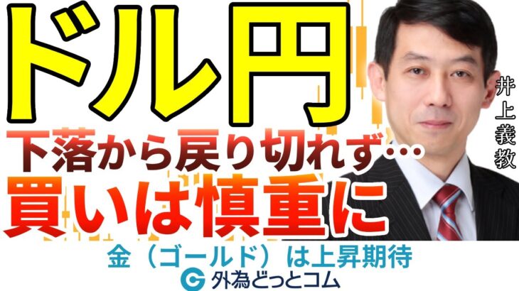 ドル円、下落相場から戻り切れず…買いは慎重に｜金（ゴールド）は上昇期待 2024/8/12（月）井上義教