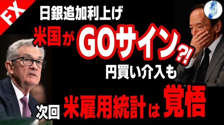 【米国株 インデ ドル円 ポンド円】日銀追加利上げはアメリカがゴーサインを出した?!／円買い介入も／次の米雇用統計は覚悟｜最新の相場を分析 2024年8月31日