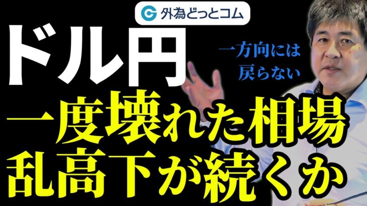 ドル円　日銀内田副総裁発言で上昇｜一度壊れた相場、しばらく乱高下が続くか　2024/8/8　今井雅人氏