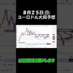 8月25日ユーロドル大局予想切り抜き【海外FX投資】 #shorts