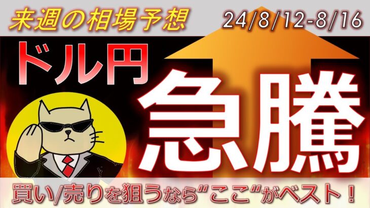 【ドル円最新予想】ドル円の上昇、ここで止まります。注目レートと攻め方を簡単解説！来週の為替相場予想と投資戦略！CPI・小売売上高・日経平均・暴落・急騰・株価に注目(24/8/12週)【FX】※