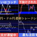 セオリーと異なる取引戦略【FX ポンド円/ドル円 最新予想】