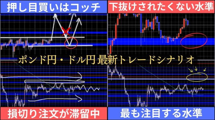 セオリーと異なる取引戦略【FX ポンド円/ドル円 最新予想】