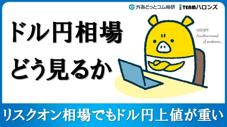 FXのライブ解説、リスクオン相場でもドル円上値が重い「ドル円相場どう見るか」 (2024年8月20日)