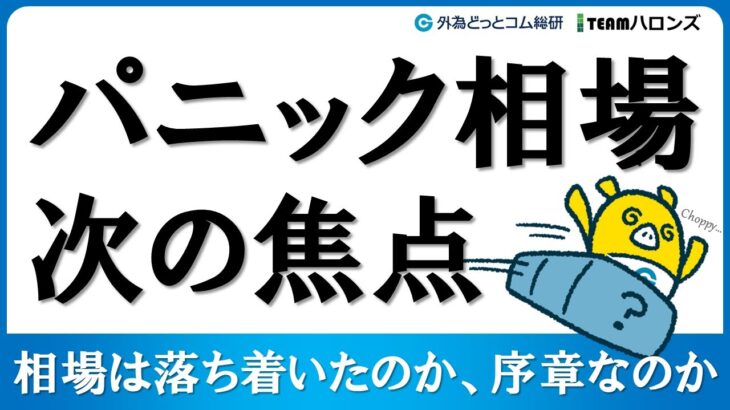 FXのライブ解説、パニック相場は落ち着いたのか、序章なのか、次の焦点 (2024年8月6日)