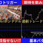 利下げ・大統領選を控えたトレーダー心境【FXユーロドル/ポンドドル最新予想】