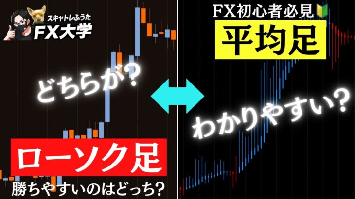 【FX】ドル円・株・チャート分析に使える！ローソク足と平均足の特徴と実践に活かせるポイントをわかりやすく解説！比較動画