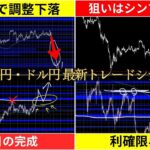 ポンド円ドル円トレード戦略公開【FX最新予想】