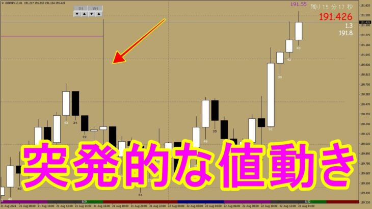 FXデイトレード｜突発的なチャートの値動きとフィボナッチについて解説