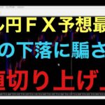 【ドル円FX予想最新】141円711の安値を割にいくぞ！とみせての、騙し安値切り上げ上昇していく予想です！昨日の約280pipsぐらいの下落に騙されたかもです。。。あとは、ジャクソンホール警戒ですね！