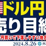 ドル円、売り目線｜ドル売り・円買いで下落しやすい地合いが続く（今日から来週のFX予想）2024/8/26