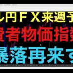 【ドル円FX予想最新】今後の相場展開を予想する上でも、来週のCPIはかなり重要になってくると思います！ダブルトップ形成で下落すれば、円高が再加速、直近の高値越えれば、148円以上まで上昇していくと予想