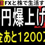 【FX】ドル円が内田副総裁の発言で爆上げ…今年の収支FX-1236万、株+173万円