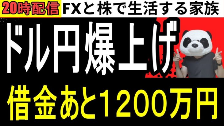 【FX】ドル円が内田副総裁の発言で爆上げ…今年の収支FX-1236万、株+173万円