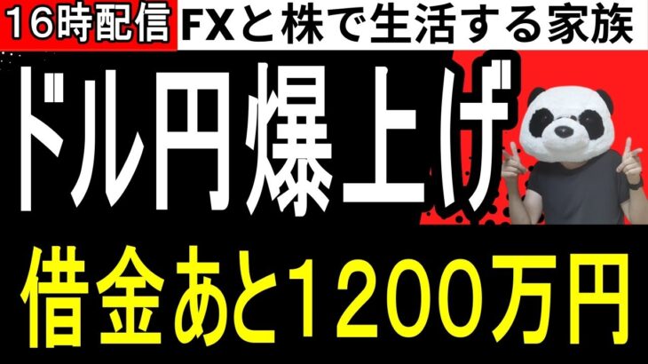 【FX】ドル円が内田副総裁の発言で爆上げ…今年の収支FX-1240万、株+173万円