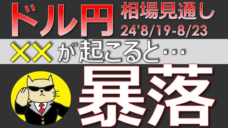 【ドル円最新予想】知らないと超危険！ドル円暴落を事前に知る方法とは？簡単解説！来週の為替相場予想と投資戦略！ジャクソンホール・閉会中審査・岸田・不出馬・PMI・暴落に注目(24/8/19週)【FX】※